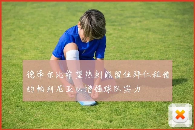 德泽尔比希望热刺能留住拜仁租借的帕利尼亚以增强球队实力